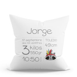 COJÍN PERSONALIZADO NATALICIO MAPACHE PLUMAS