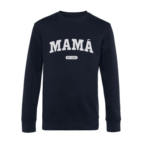 SUDADERA PERSONALIZADA COLLEGE ESTABLISHED